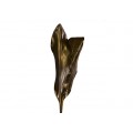 Cordyline Leaves - Carnuba Ti